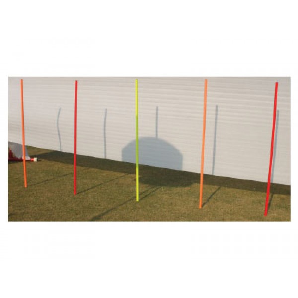 STAG Slalom Pole Elementary (Set of 6)